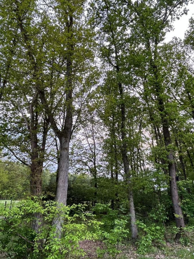 Chalet Liquidambar Zutendaal Eksteriør bilde